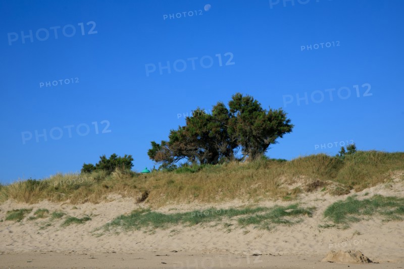 Réville, Manche