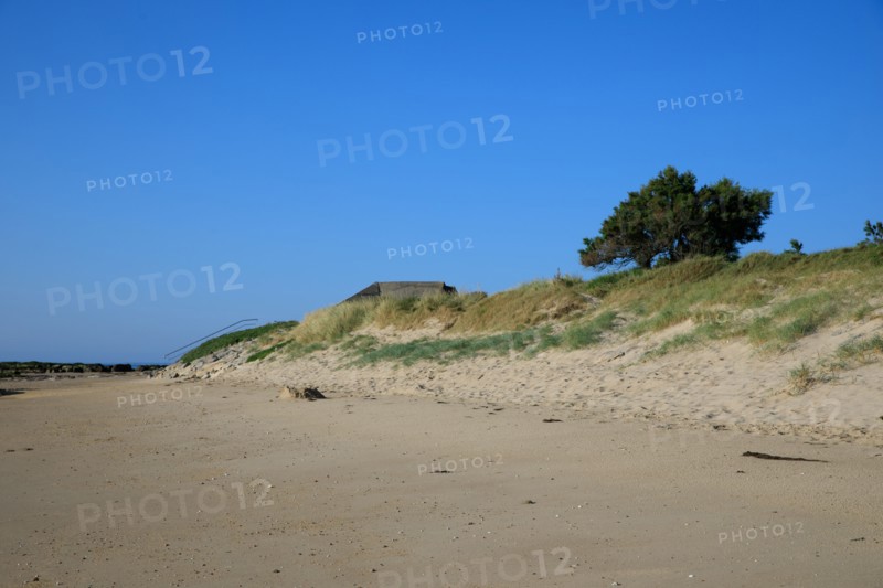 Réville, Manche