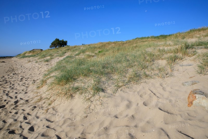 Réville, Manche