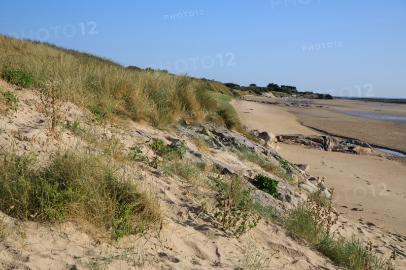 Réville, Manche