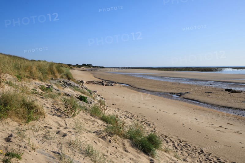 Réville, Manche