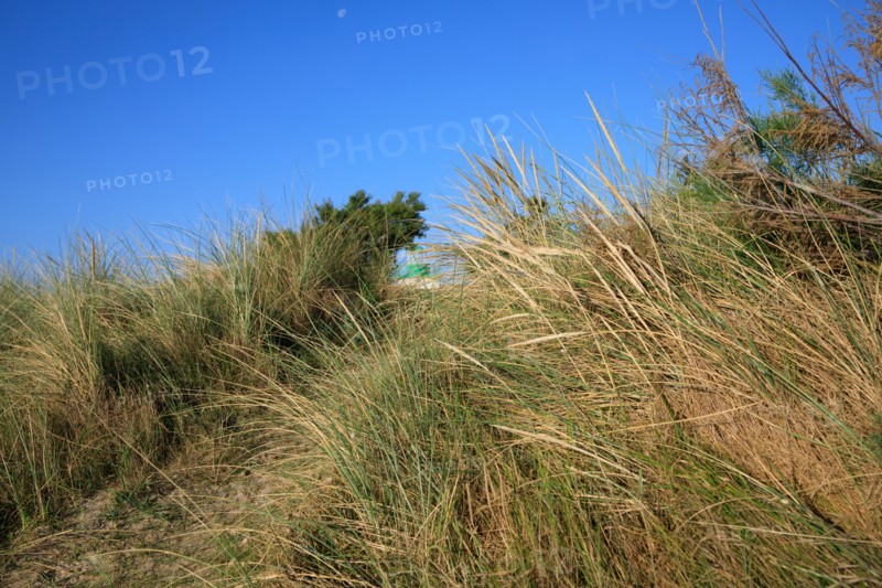 Réville, Manche department