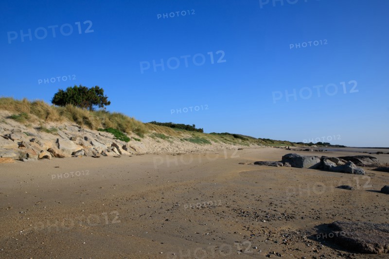 Réville, Manche department