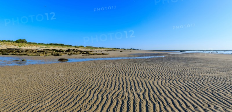 Réville, Manche department