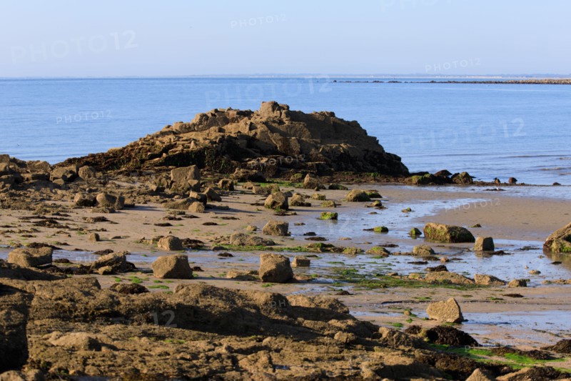Réville, Manche