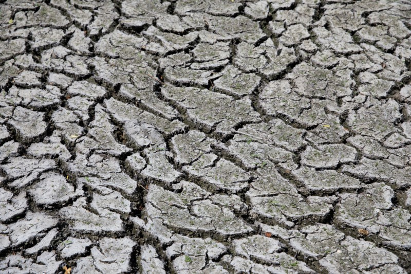 Dry cracked earth