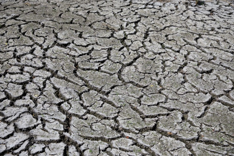 Dry cracked earth