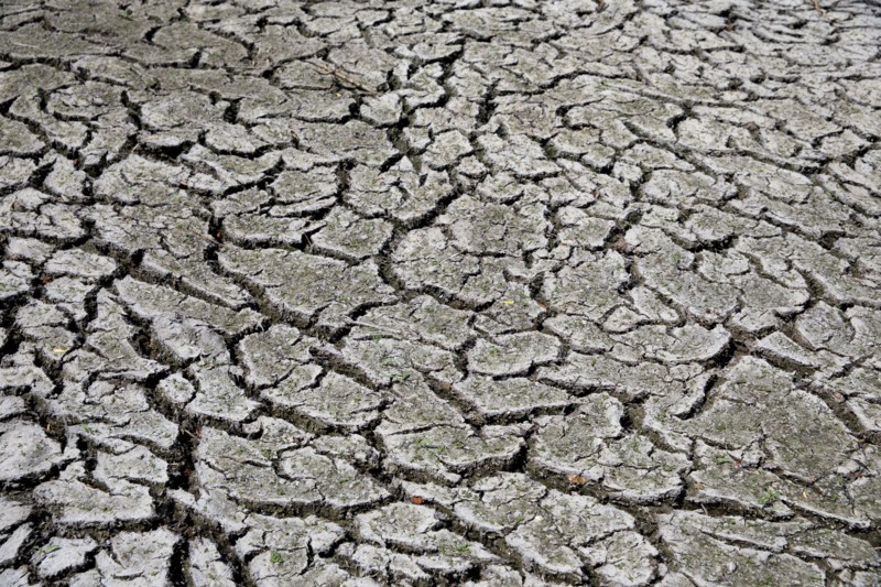 Terre sèche, Saint-Omer, Pas-de-Calais
