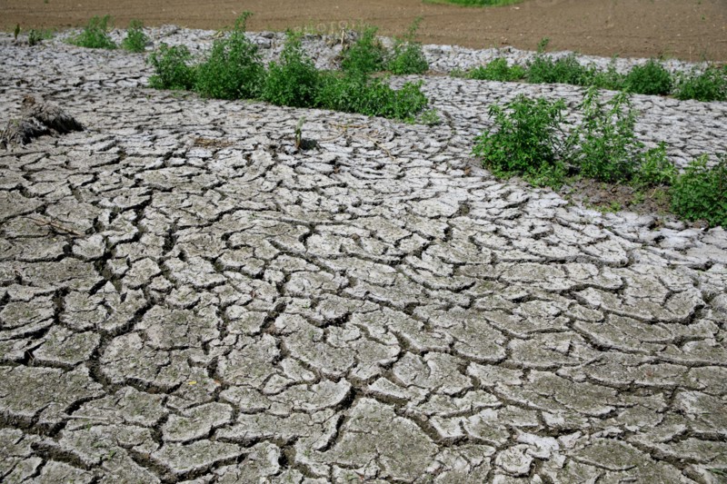 Dry cracked earth