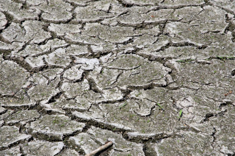 Dry cracked earth