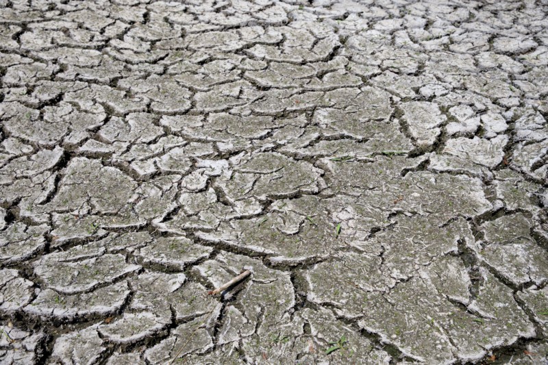 Dry cracked earth