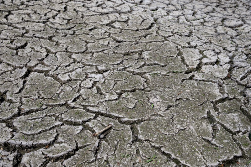 Dry cracked earth