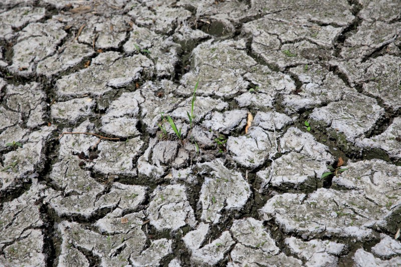 Dry cracked earth