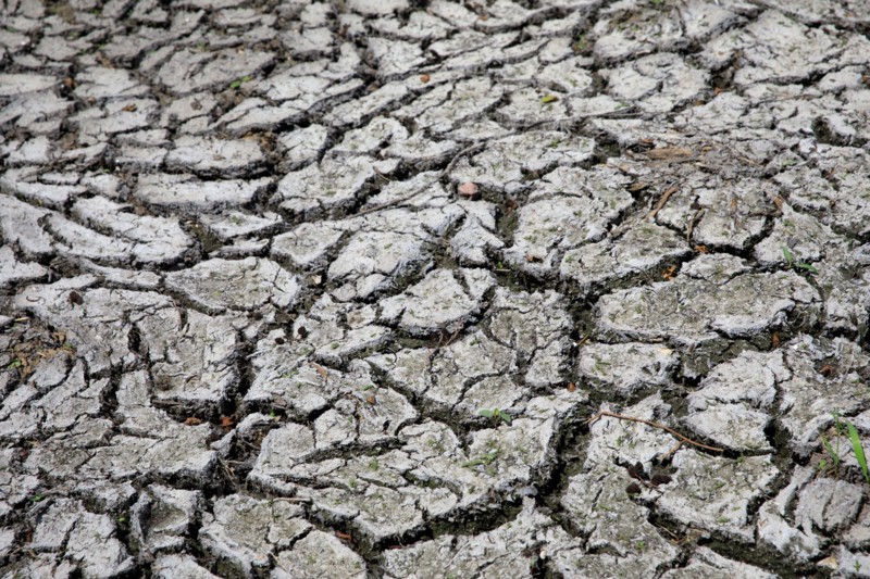 Dry cracked earth
