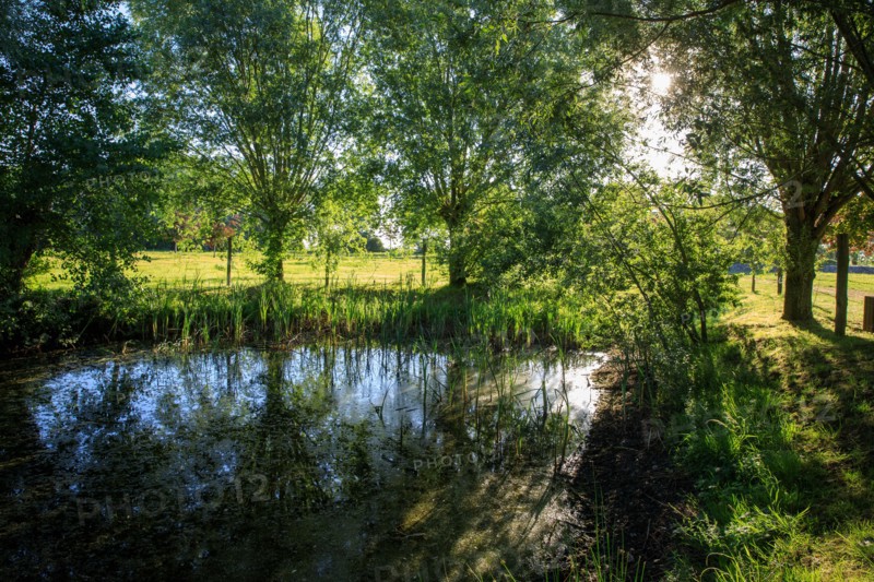 Esquelbecq, Nord