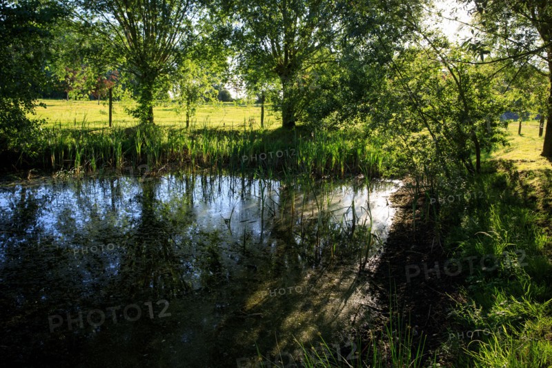 Esquelbecq, Nord