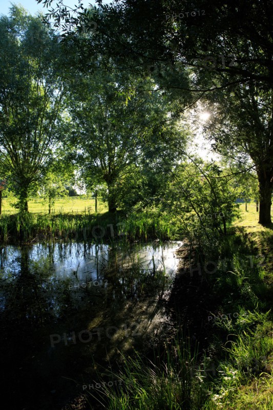 Esquelbecq, Nord