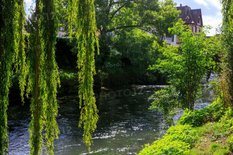 Pont-l'Evêque, Calvados