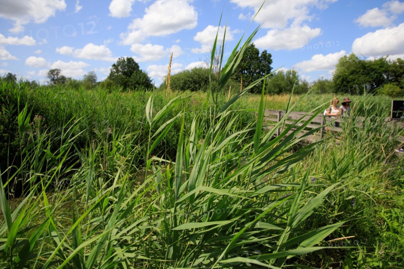 Saint-Omer, Pas-de-Calais