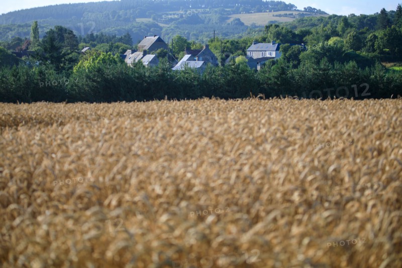 Saint-Rémy-sur-Orne, Calvados