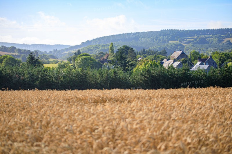 Saint-Rémy-sur-Orne, Calvados