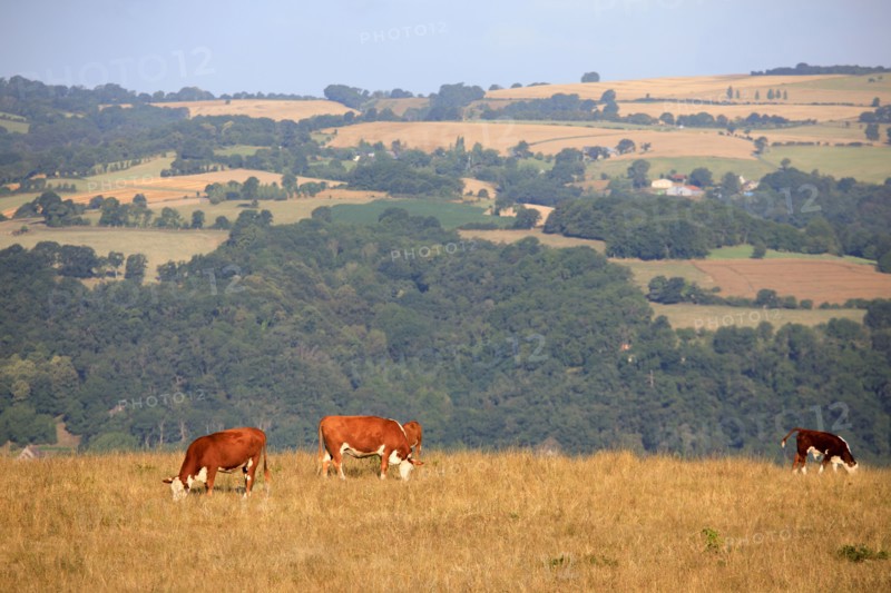 Saint-Omer, Calvados