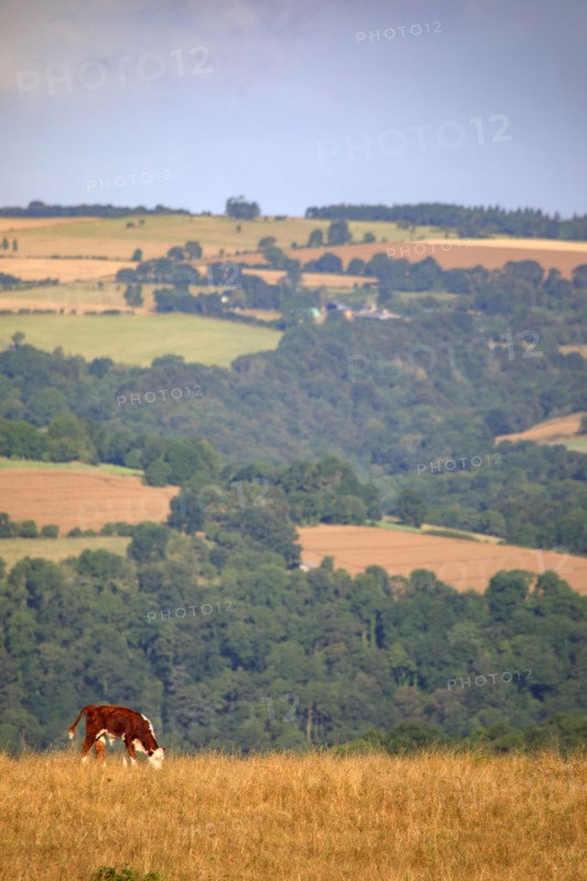 Saint-Omer, Calvados
