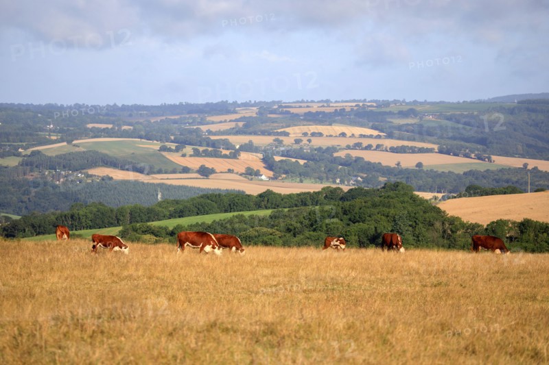 Saint-Omer, Calvados