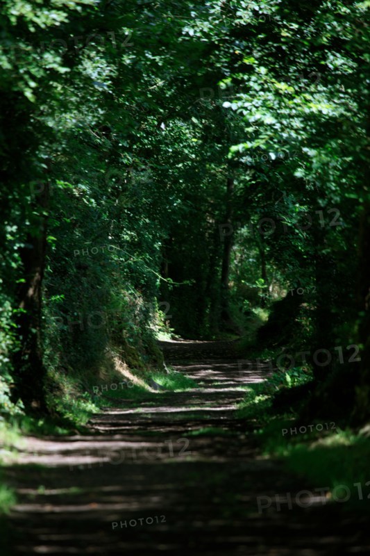 Clécy, Calvados