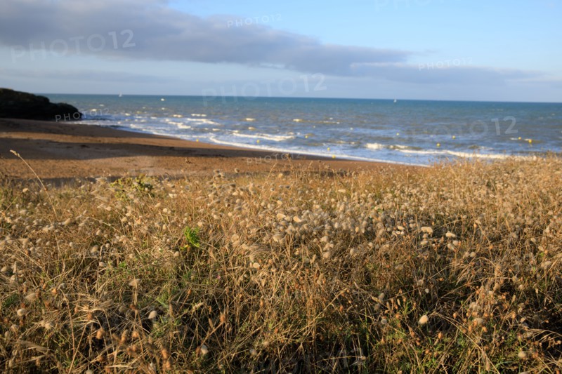 Saint-Hilaire de Riez, Vendée