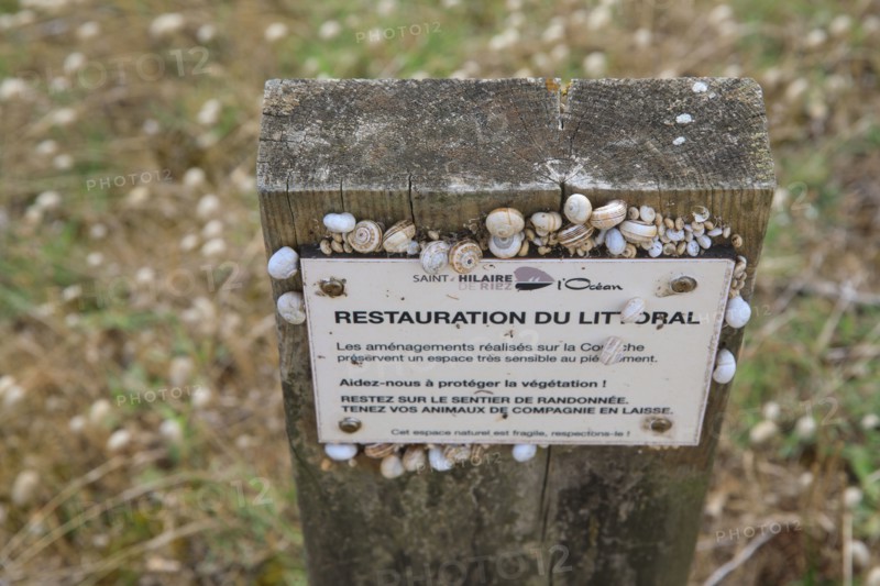 Saint-Hilaire de Riez, Vendée