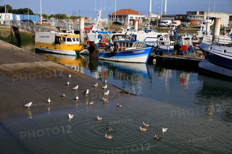 Le Havre, Seine-Maritime