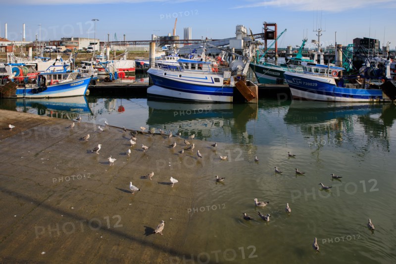 Le Havre, Seine-Maritime