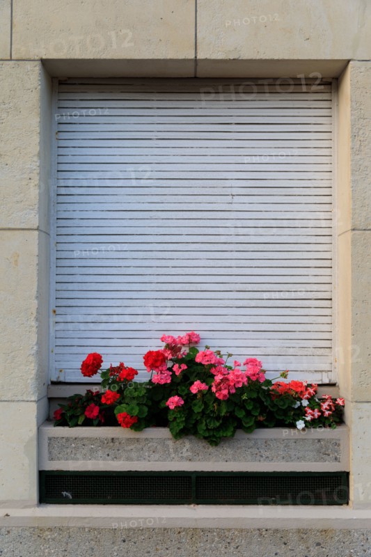 Le Havre, Seine-Maritime