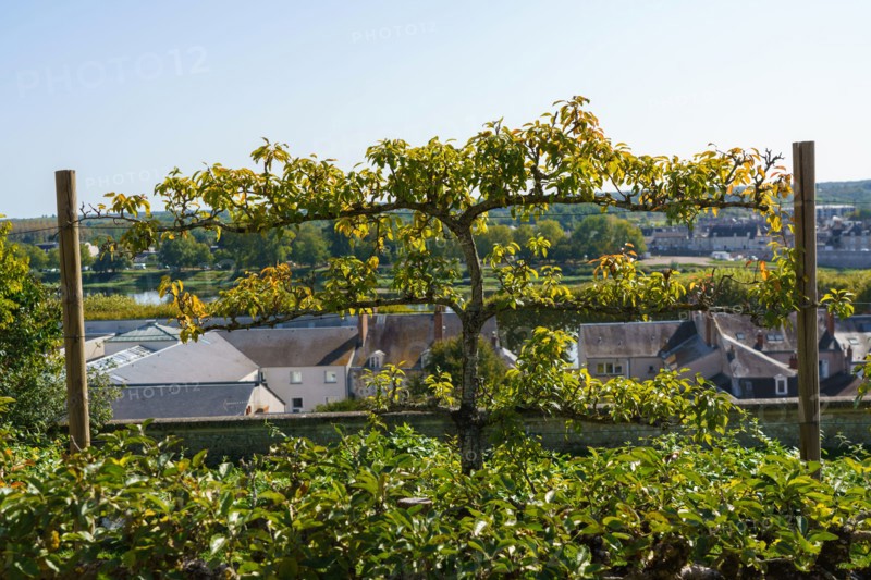 Blois, Loir-et-Cher