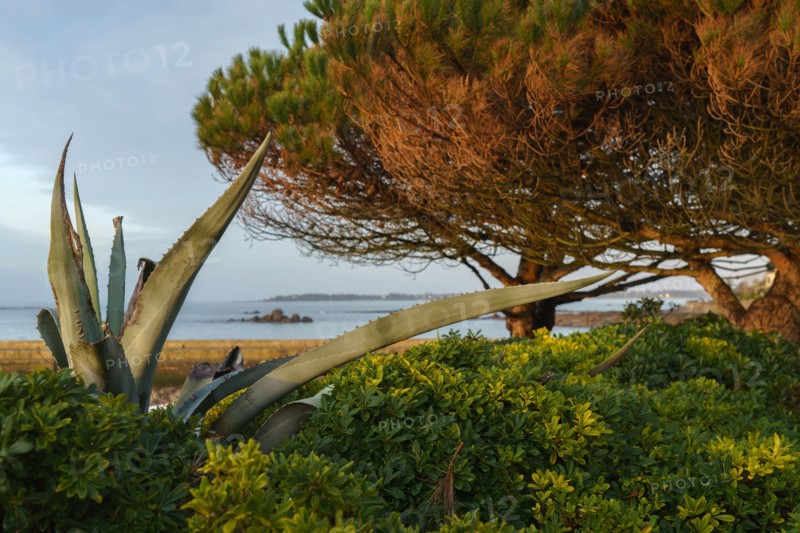 Concarneau, Finistère