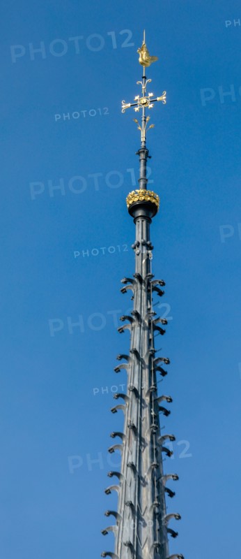 Paris, the new spire of Notre-Dame de Paris is installed