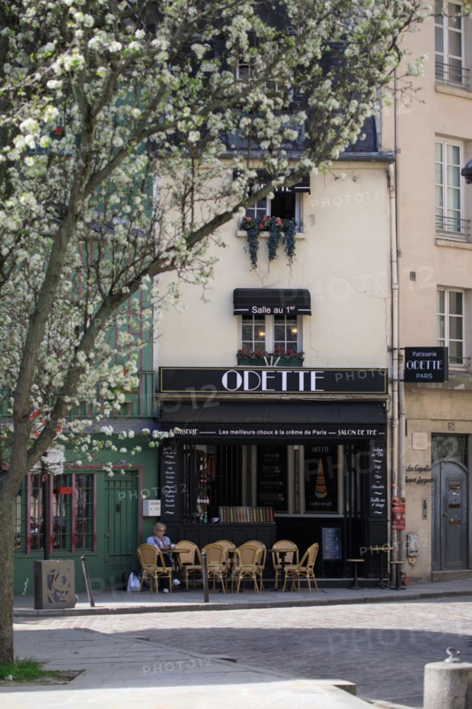 Paris, pâtisserie "Odette"