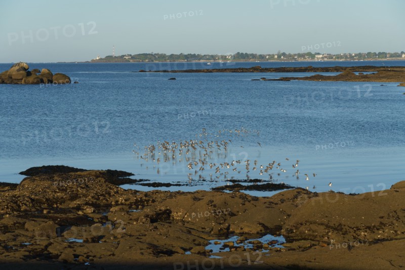 Concarneau, Finistère