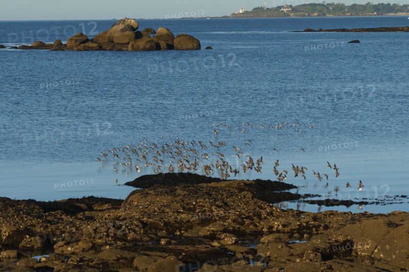 Concarneau, Brittany, France