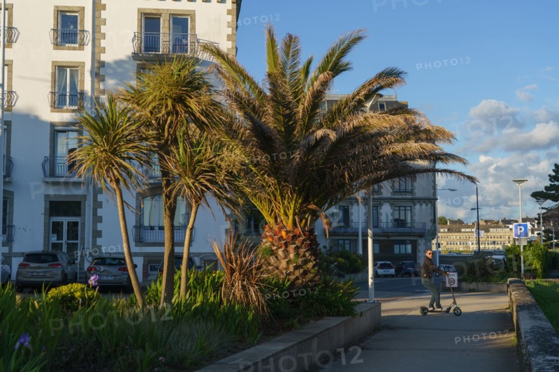 Concarneau, Finistère
