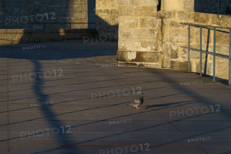 Concarneau, Brittany, France