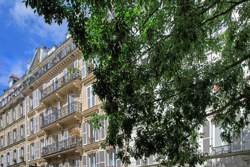 Rue Pavée, Paris