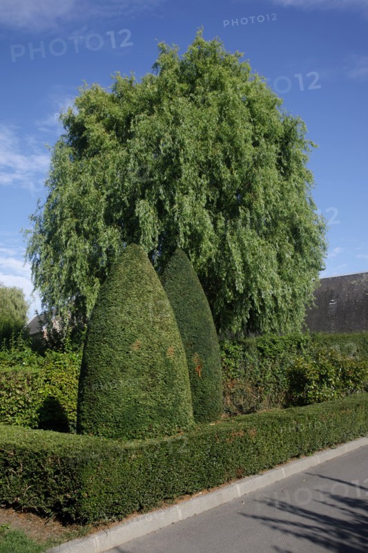 Touques, Calvados