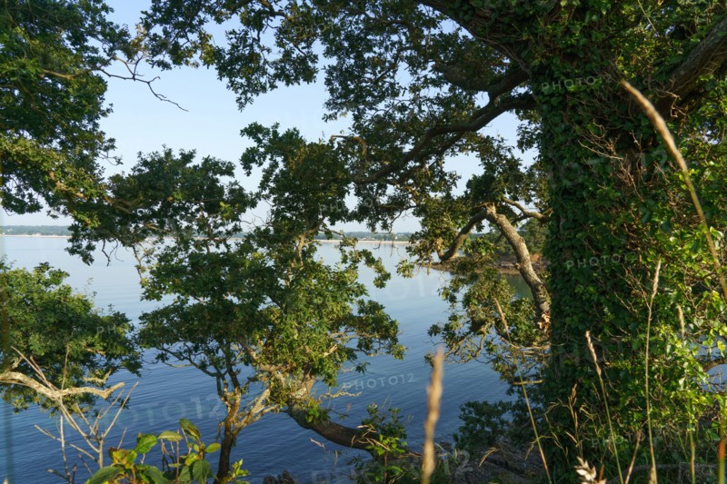 Concarneau, Finistère