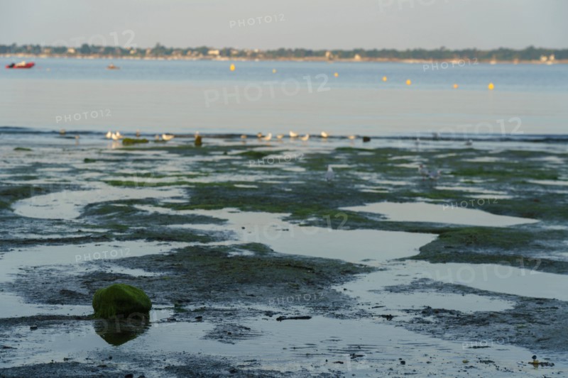 Concarneau, Finistère