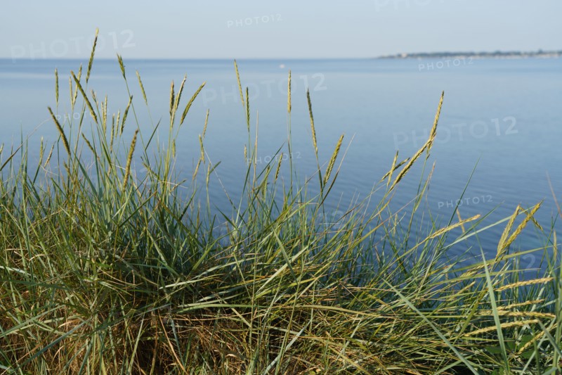Concarneau, Finistère