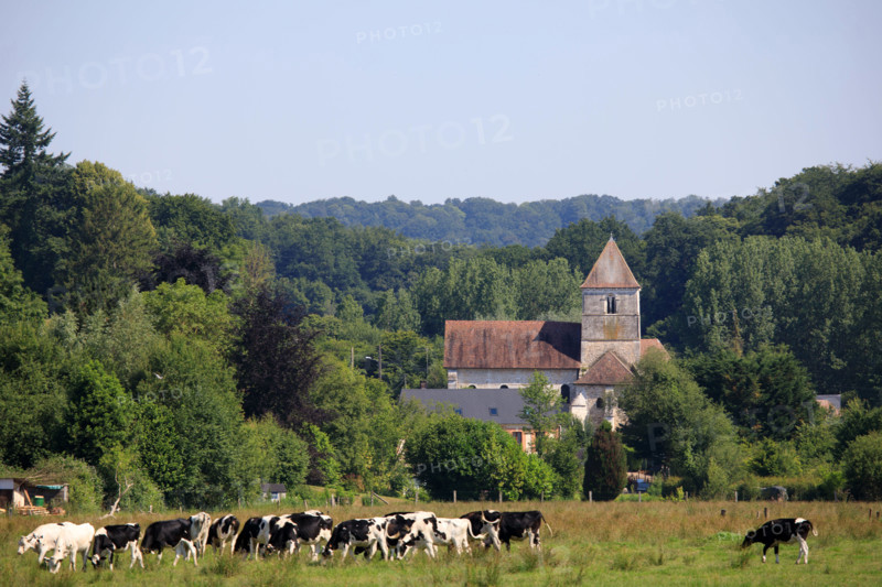 Rives-en-Seine, Seine-Maritime