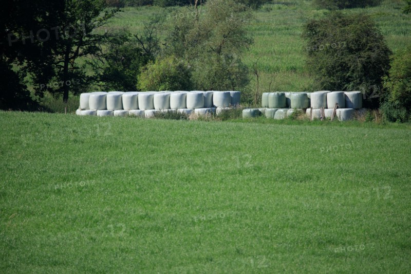 Straw bales in plastic