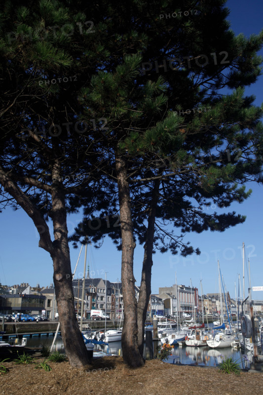 Fécamp, Normandy, France